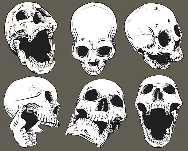skull with open mouth clipart 20 free Cliparts | Download images on