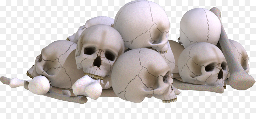 Skull Clipart png download.