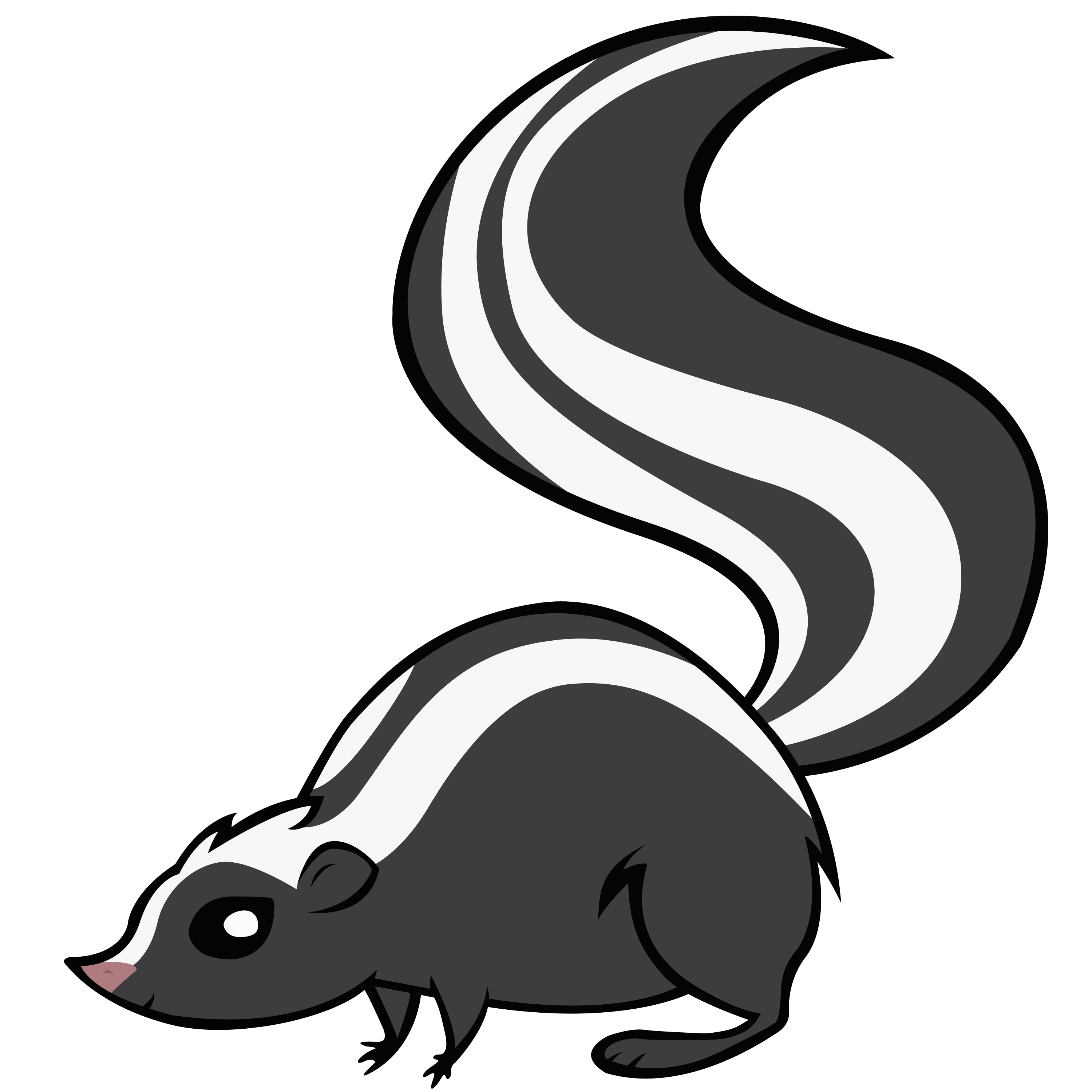 Download Skunk PNG Clipart.