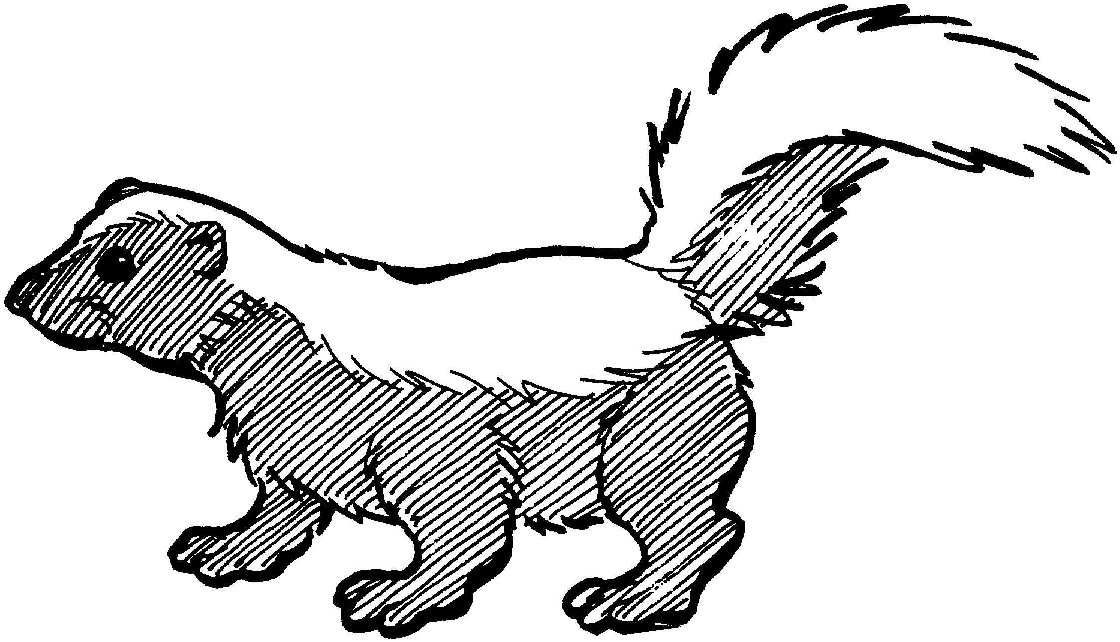 Skunk clipart black and white 2 » Clipart Station.
