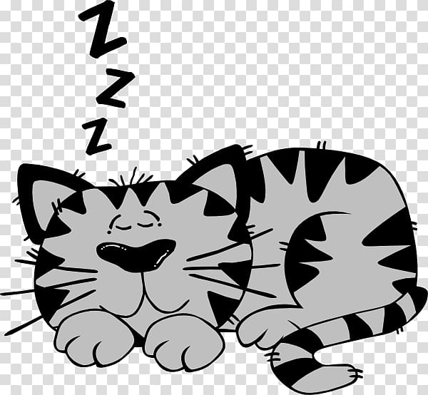 Cat Kitten Sleep , Sleepy Head transparent background PNG.