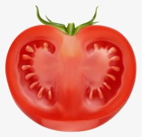 Tomatoes Clipart Sliced Tomato.