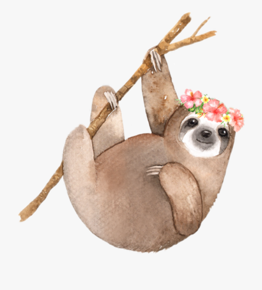 Sloth Clipart Watercolor.