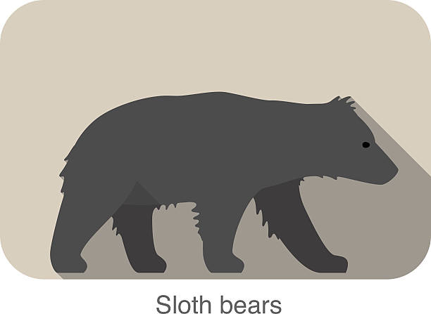 Silhouette Of Sloth Bear Clip Art, Vector Images & Illustrations.