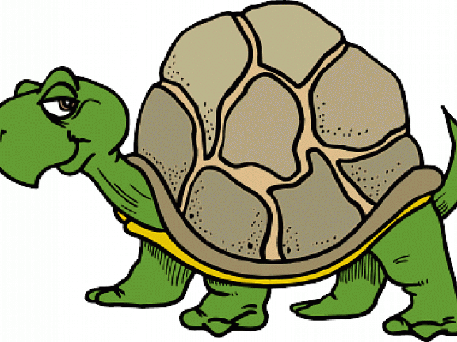 slow turtle clipart 10 free Cliparts | Download images on Clipground 2024