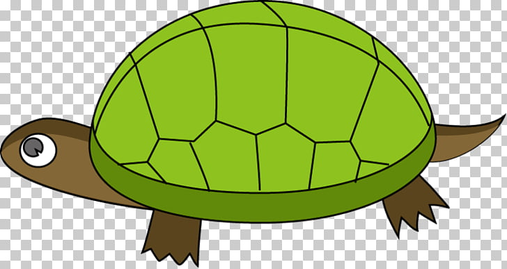 Turtle Reptile Tortoise , Slow Dance s PNG clipart.