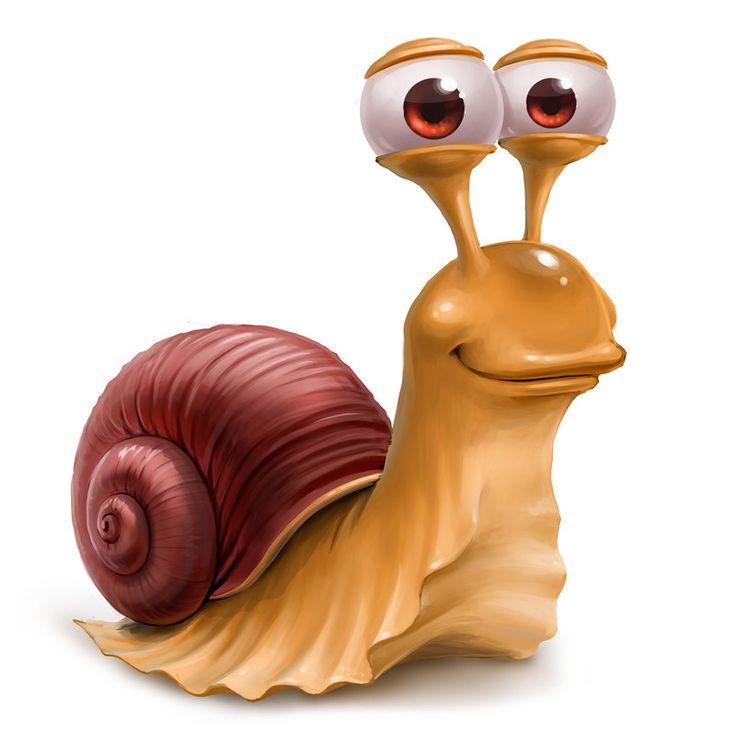 1000+ images about Snail smiles on Pinterest.