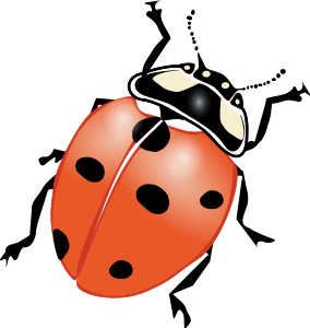 Lady bug small clipart 300pixel size, free design.