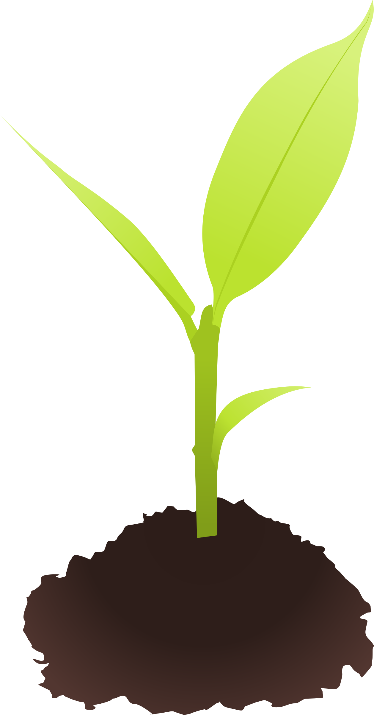 Plant clipart Idea