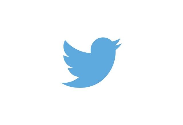 Small Twitter Logo.