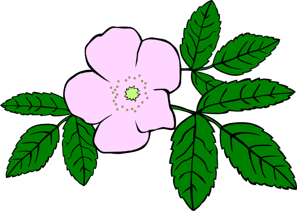 Wild Flower Clipart.