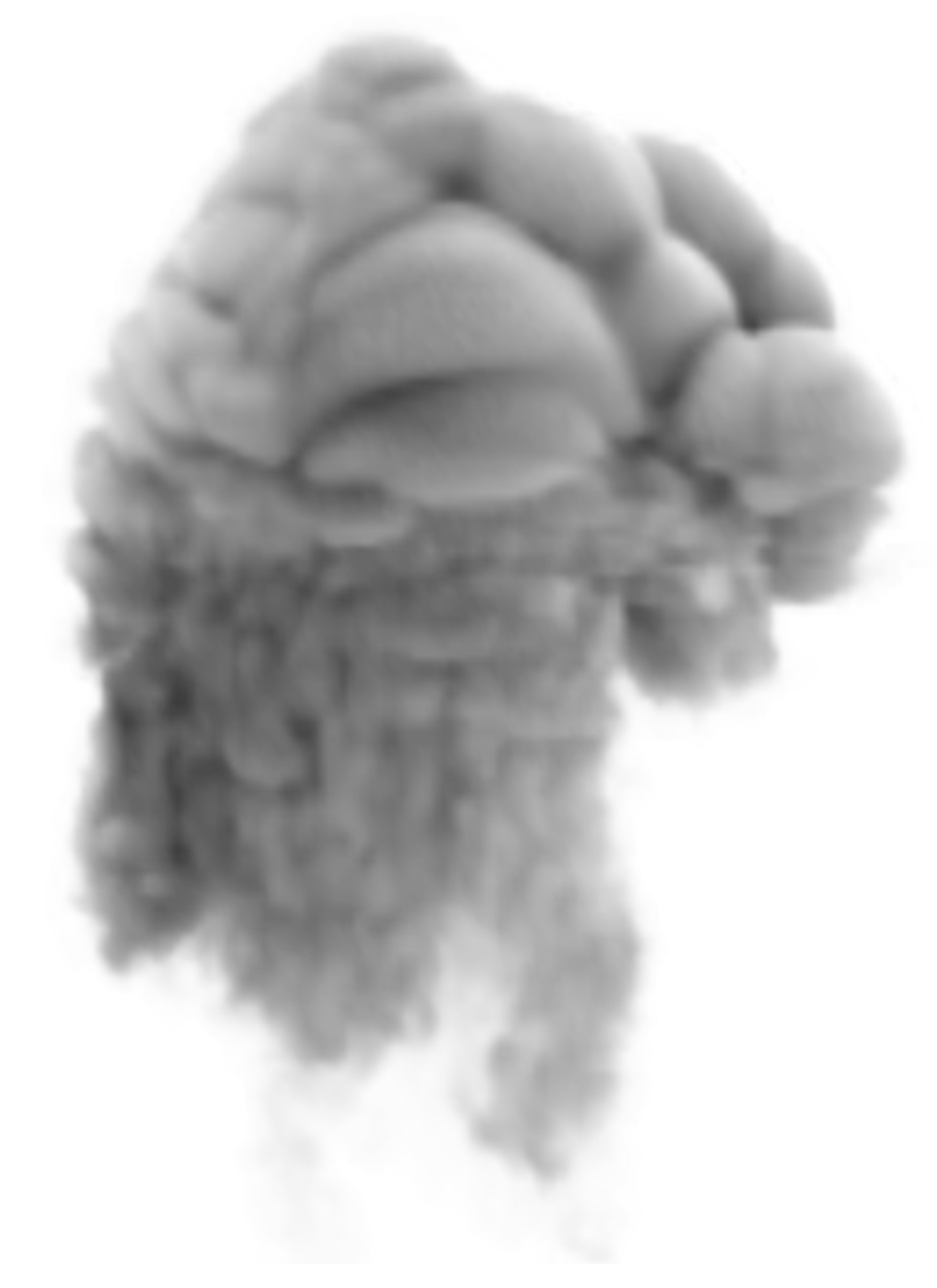 Large Smoke Transparent PNG Clipart Image.