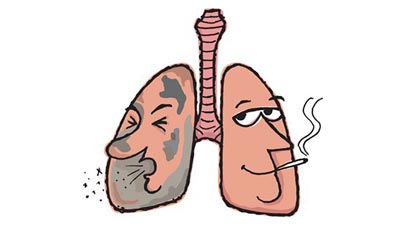 716 Lungs free clipart.