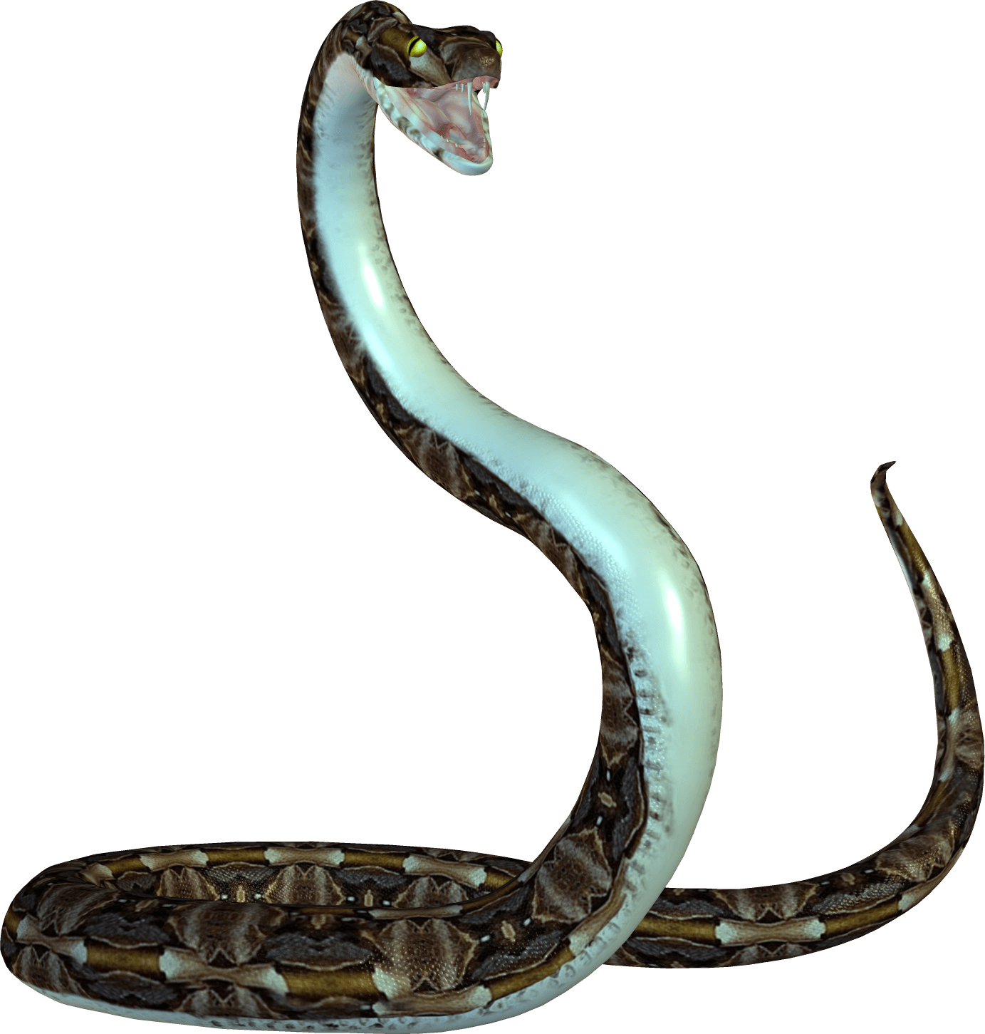 Animated Snake PNG Image.