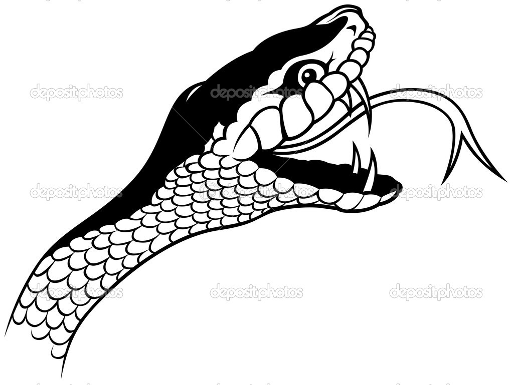Snake tongue clipart 20 free Cliparts | Download images on Clipground 2022