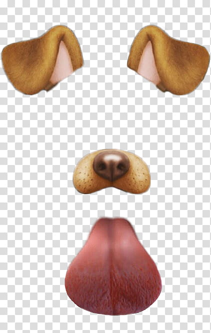 Snapchat psd, dog nose and ear transparent background PNG.