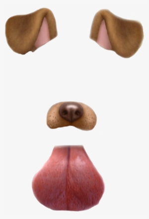 Dog Filter PNG, Transparent Dog Filter PNG Image Free.