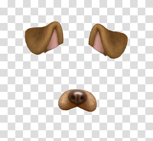 Snapchat filtros Snapchat filters, snapchat dog transparent.