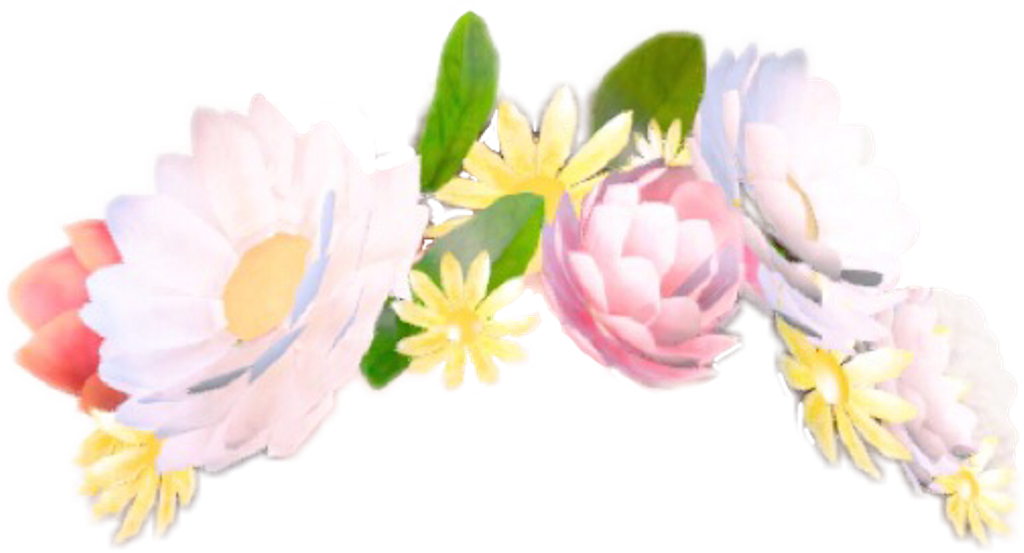 snapchat flower crown png 10 free Cliparts | Download images on