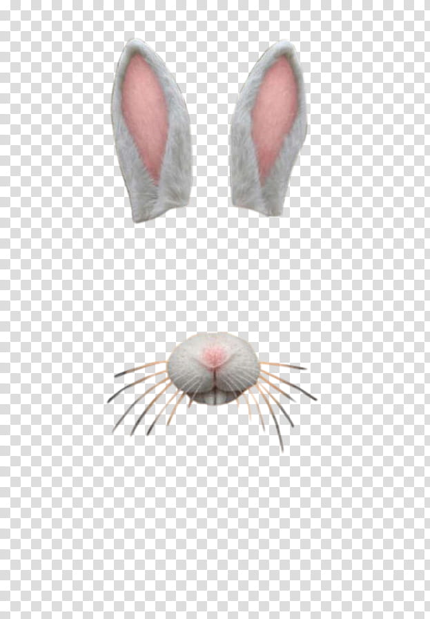 SNAPCHAT , bunny filter overlay transparent background PNG.