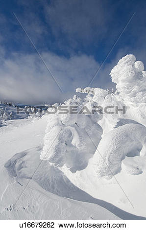 Stock Photo of Snow ghosts form animal like shapes at the top of.