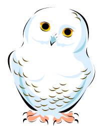 Snowy Owl Clipart.