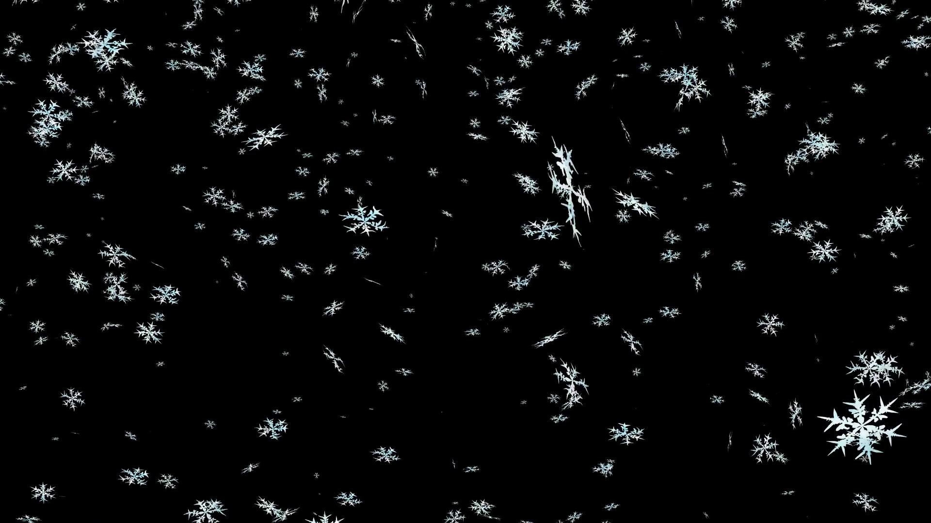 Animated Detailed Snow Flakes On Transpa #1630.