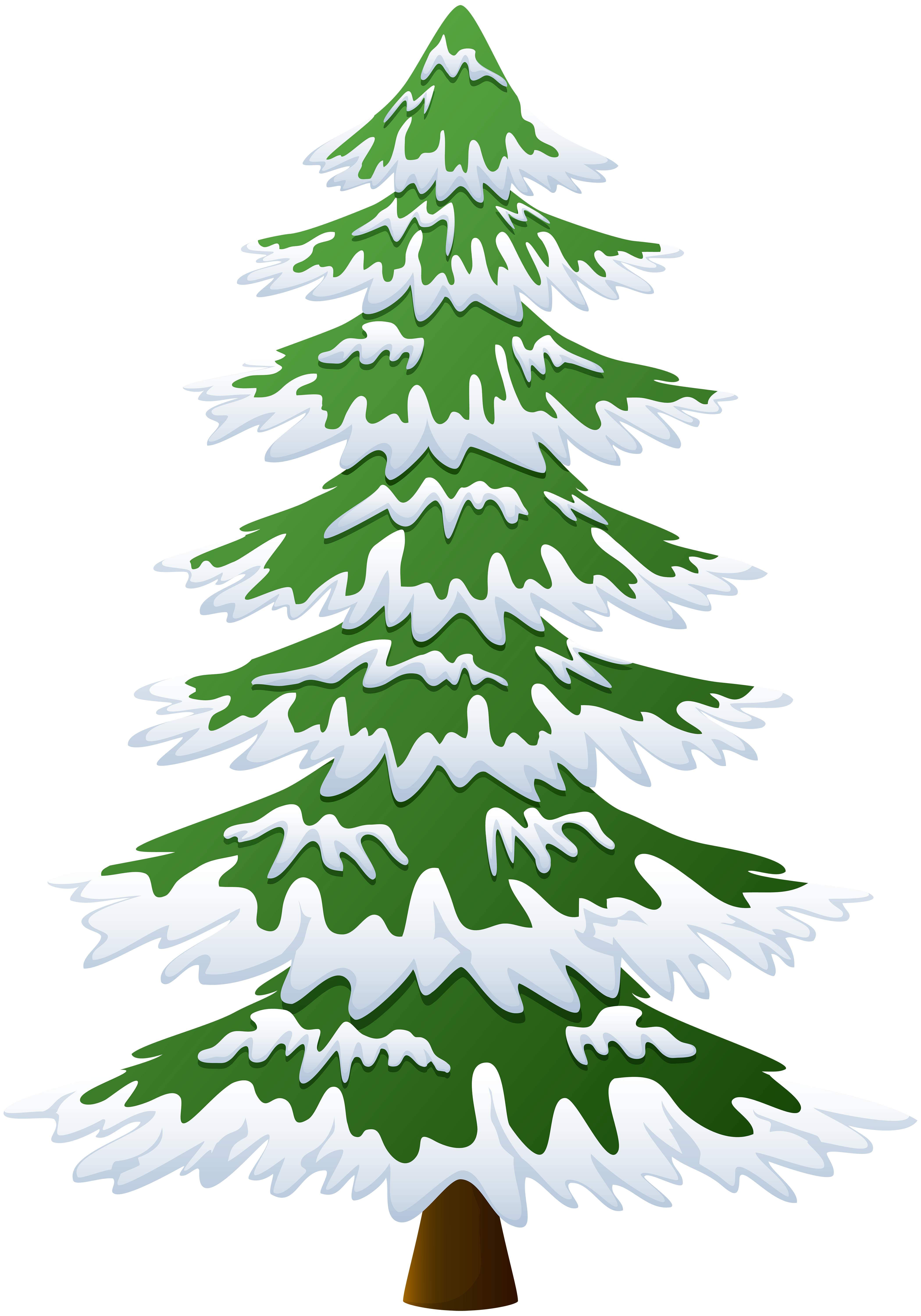 Snowy Pine Tree Transparent PNG Image.