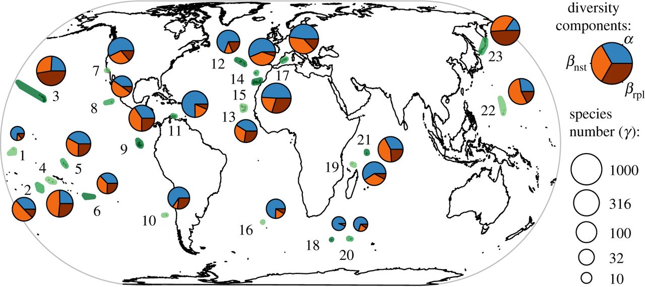 Biogeographic, climatic and spatial drivers differentially affect.