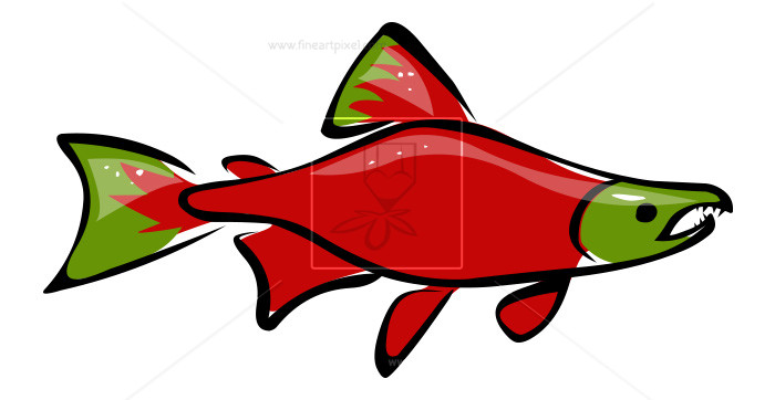 sockeye salmon clip art 10 free Cliparts | Download images on