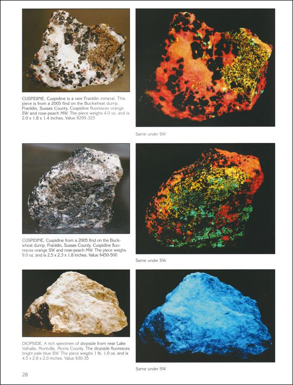 Cutting Rocks: Rocks and Minerals Books and Videos.