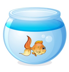 Goldfish Vector Image by iimages.