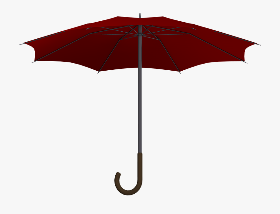 Screen, Umbrella, Parasol, Protection, Open.