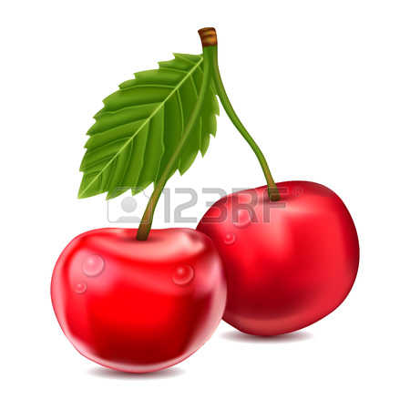1,029 Sour Cherries Stock Illustrations, Cliparts And Royalty Free.