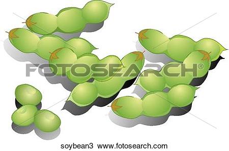 Soybean Illustrations and Clipart. 114 soybean royalty free.