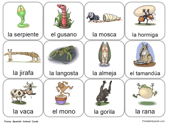 spanish animal clipart 20 free Cliparts | Download images on Clipground ...