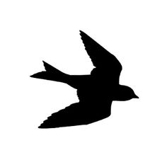 Single Flying Bird Silhouette Png.