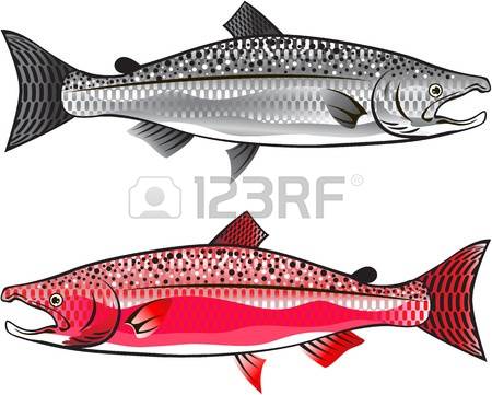 555 Spawning Stock Illustrations, Cliparts And Royalty Free.