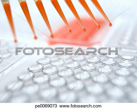 Stock Photo of Pipettes dropping liquid into specimen holder.