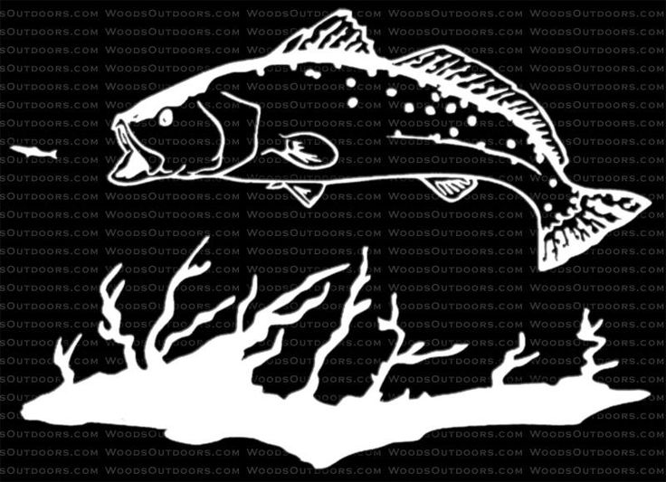 Download speckled trout clipart 20 free Cliparts | Download images ...