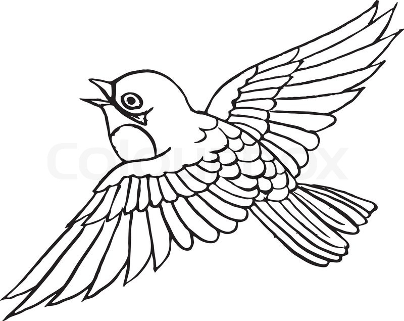 Gallery For > Cute Sparrow Clipart.