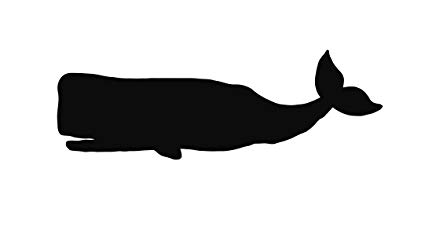 Pack of 3 Whale Sperm Whale Stencils, 16x20, 11x14 and 8x10 Made from 4 Ply  Matboard.