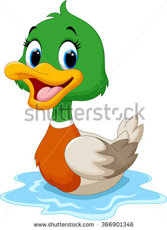 Duck Stock Images, Royalty.