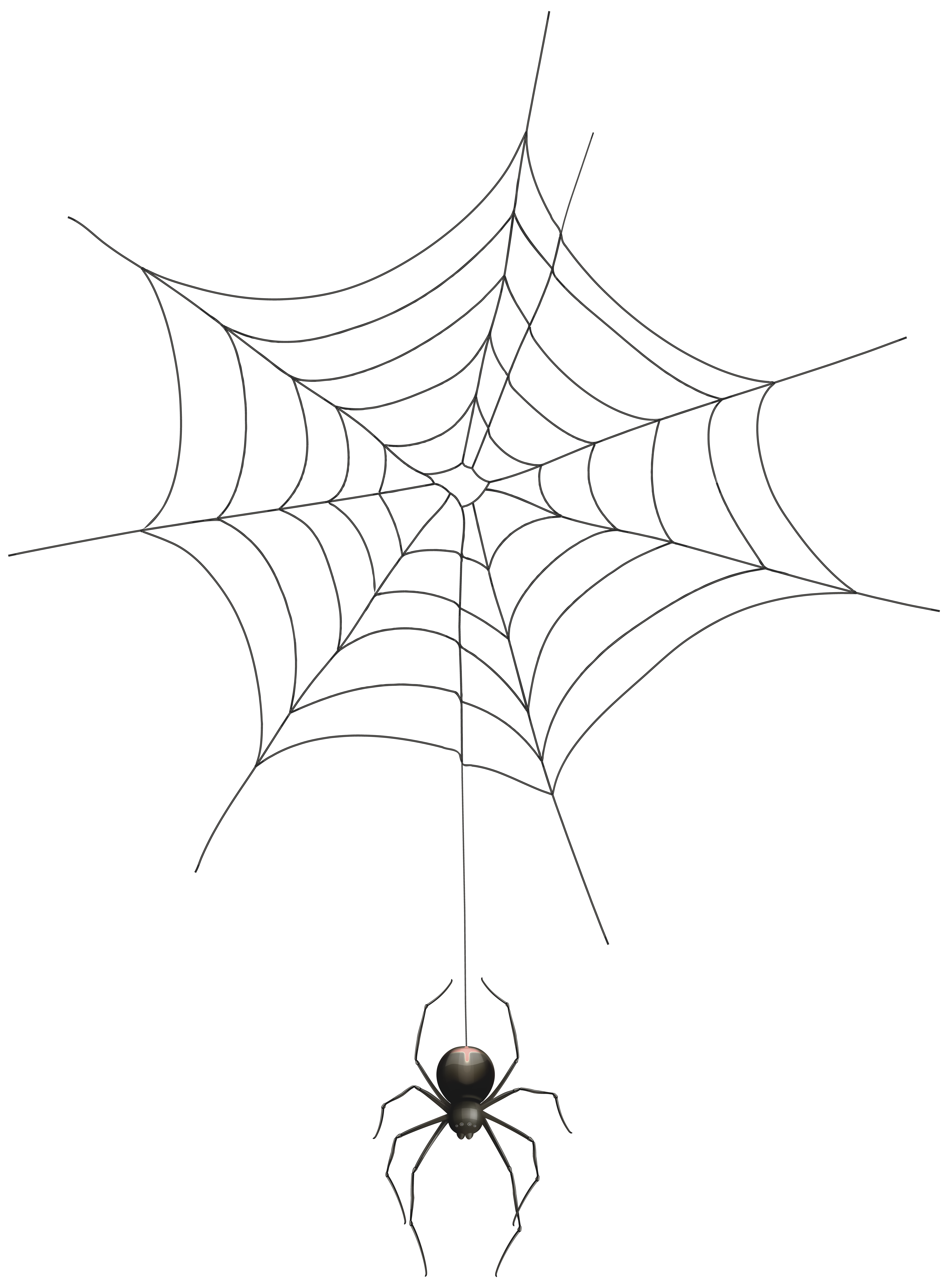 Spider web Clip art.