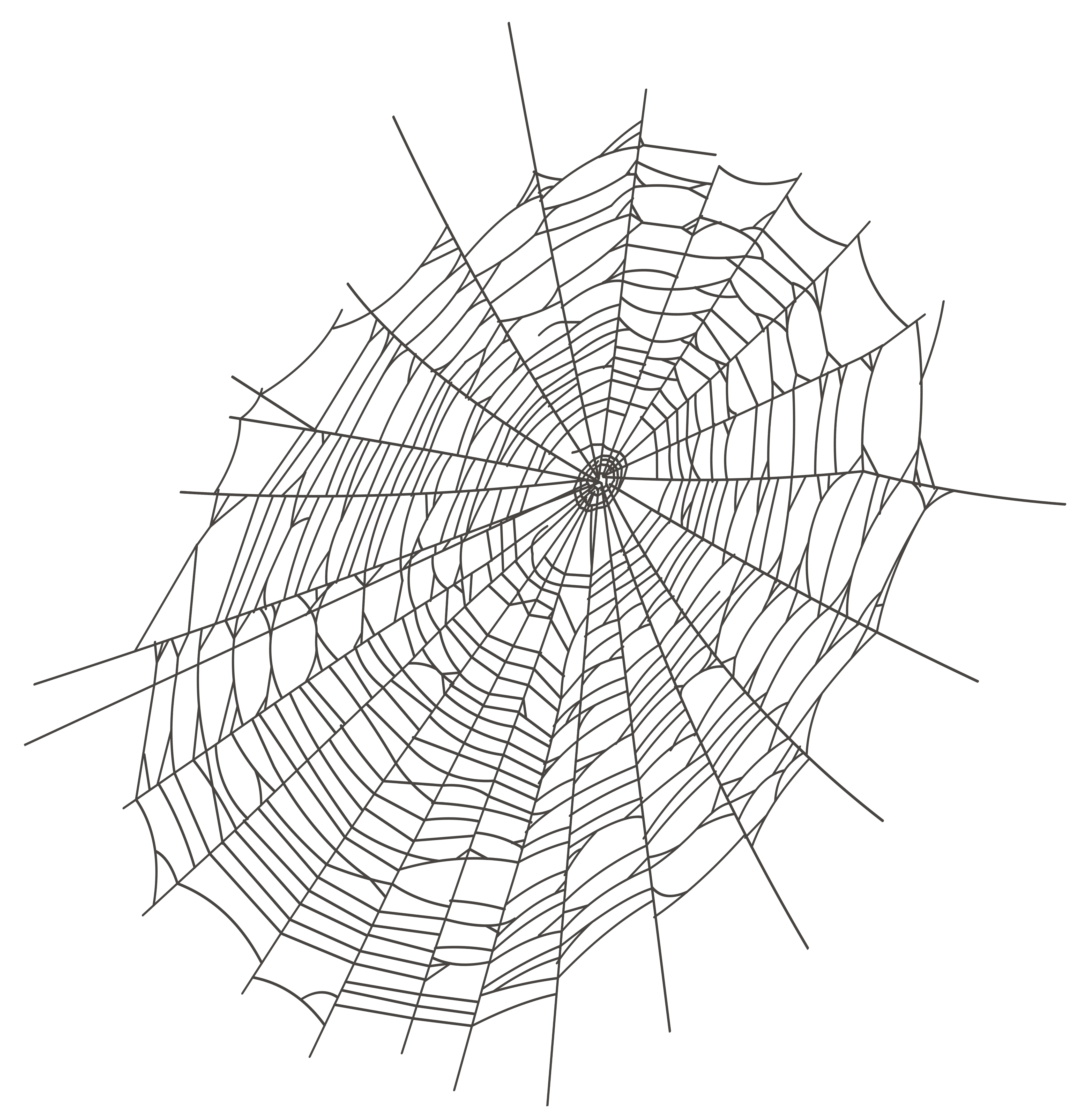 Spider Web Transparent Png 7 