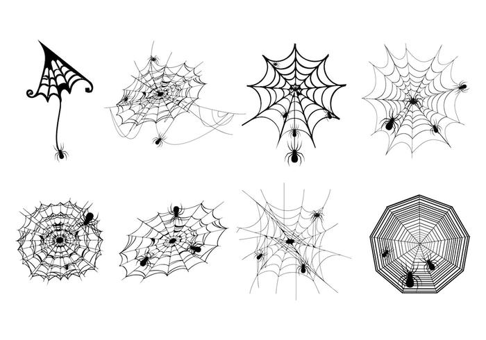 Spider Web Vector.