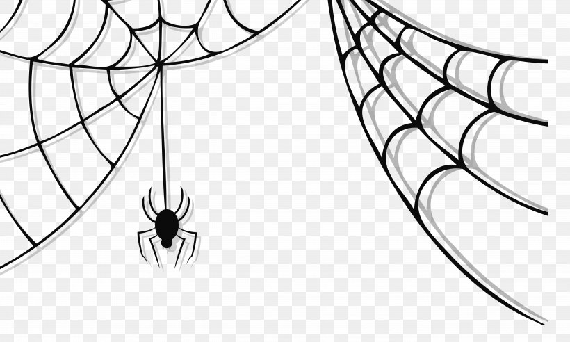 Spider Web Spider.