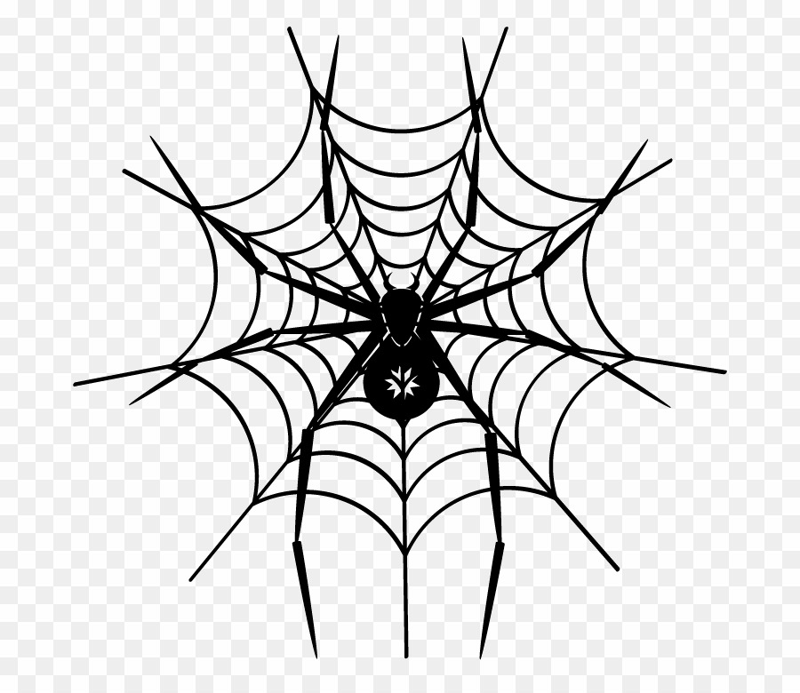 Spider Web PNG Spider.