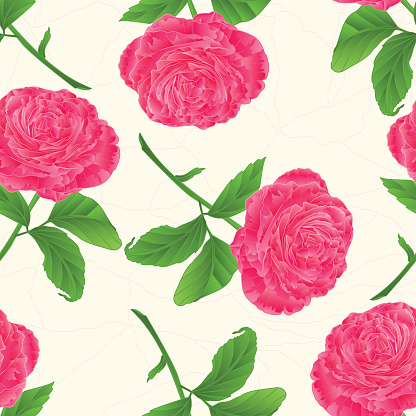 Spiky Pink Flower Clip Art, Vector Images & Illustrations.