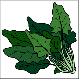 Clip Art: Spinach Color I abcteach.com.